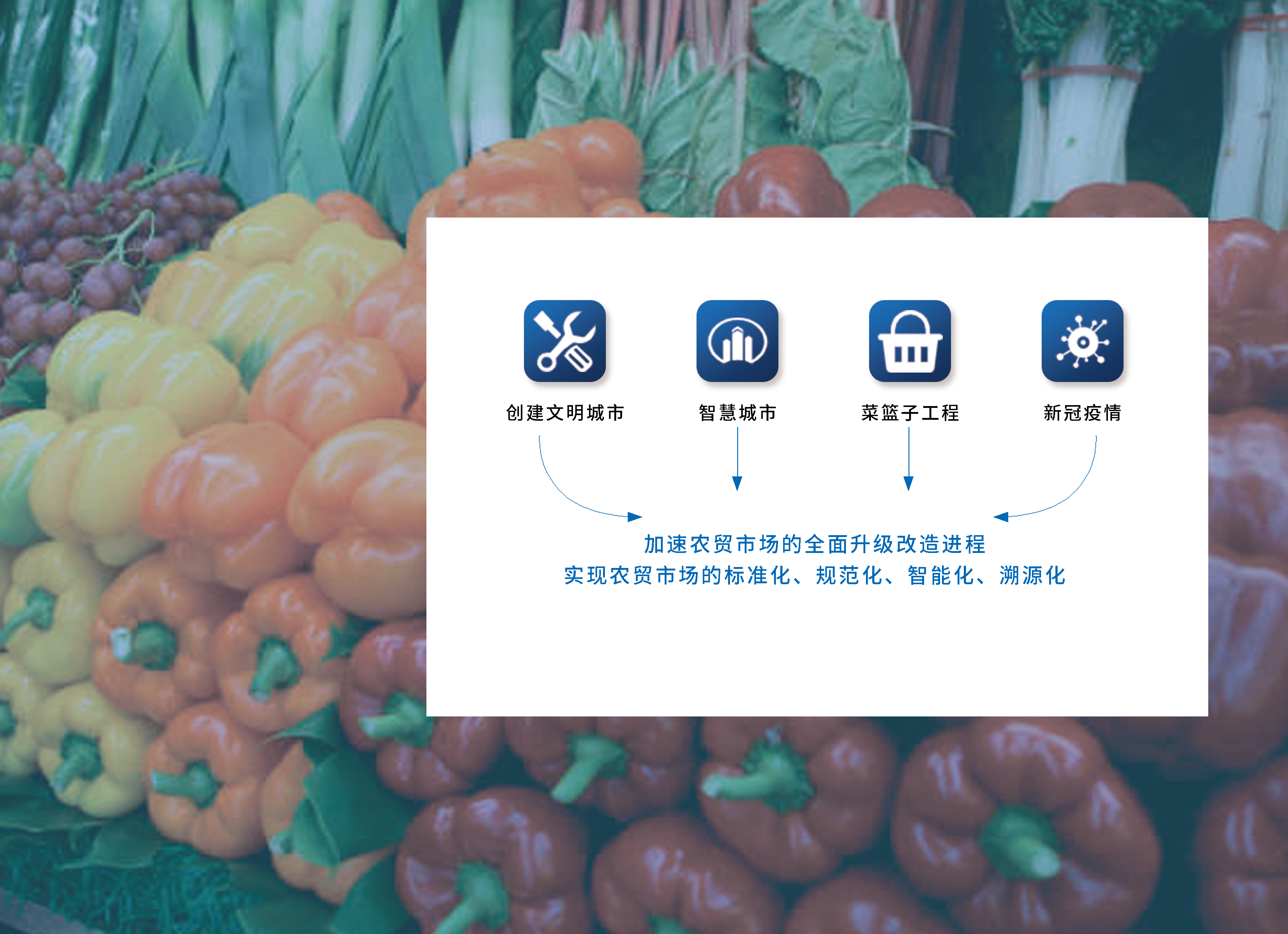 20211021畫冊(cè)-6_02.jpg